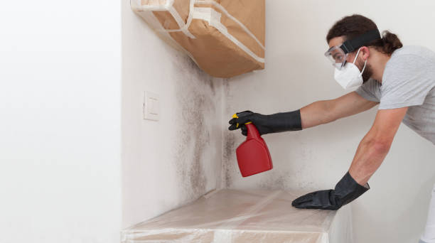 Professional Mold Remediation technician working in Westhampton, NY
